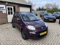 Fiat Panda 0.9 TwinAir Lounge Navi Camera Violett - thumbnail 3