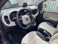 Fiat Panda 0.9 TwinAir Lounge Navi Camera Violett - thumbnail 5
