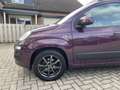 Fiat Panda 0.9 TwinAir Lounge Navi Camera Violett - thumbnail 4