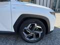 Hyundai TUCSON 1.6 t-gdi 48V Exellence 2wd imt Bianco - thumbnail 2