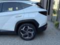 Hyundai TUCSON 1.6 t-gdi 48V Exellence 2wd imt Bianco - thumbnail 9