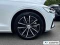 Volvo V60 T6 Plus Dark AWD Plug-In Hybrid/360°CAM/ACC Weiß - thumbnail 6