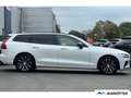 Volvo V60 T6 Plus Dark AWD Plug-In Hybrid/360°CAM/ACC Weiß - thumbnail 5