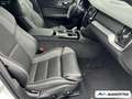 Volvo V60 T6 Plus Dark AWD Plug-In Hybrid/360°CAM/ACC Weiß - thumbnail 11