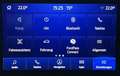 Ford Kuga Kuga Plug-In Hybrid Cool & Connect 2,5L PHEV*CVT* Blau - thumbnail 30