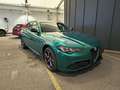 Alfa Romeo Giulia Tributo Italiano 2.0 Q4 Vert - thumbnail 1