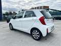 Kia Picanto 1.0 12V 5 porte Glam Collection OK NEOPATENTATI Blanc - thumbnail 6