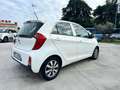 Kia Picanto 1.0 12V 5 porte Glam Collection OK NEOPATENTATI Bianco - thumbnail 4
