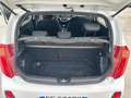 Kia Picanto 1.0 12V 5 porte Glam Collection OK NEOPATENTATI Blanc - thumbnail 12
