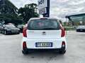 Kia Picanto 1.0 12V 5 porte Glam Collection OK NEOPATENTATI Blanc - thumbnail 5