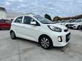 Kia Picanto 1.0 12V 5 porte Glam Collection OK NEOPATENTATI Blanc - thumbnail 3