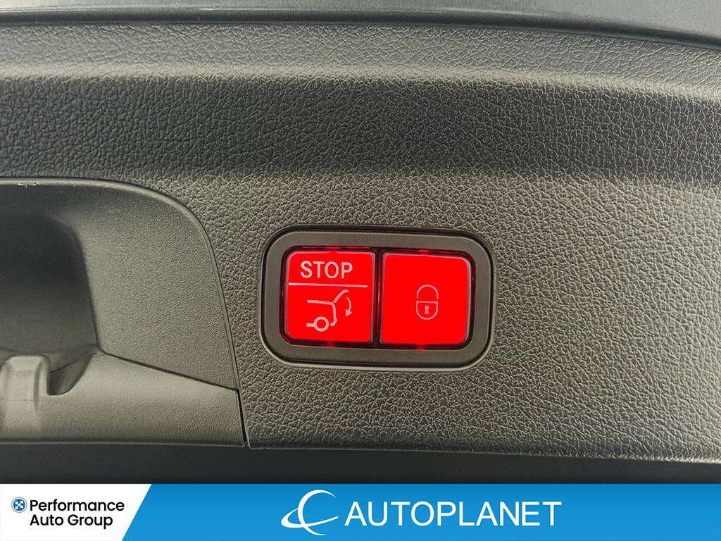 Image 13