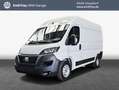 Fiat Ducato Maxi L2H2 103 kW, 4-türig Techno-Paket Blanco - thumbnail 1