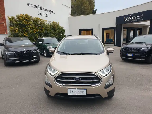 Ford EcoSport EcoSport 1.5 ecoblue Business s