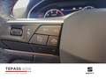 SEAT Ibiza 1.0TSI DSG FR NAVI LED RFK BEATS Grau - thumbnail 11