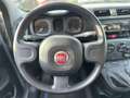 Fiat New Panda 1.0 FireFly Hybrid Grau - thumbnail 13