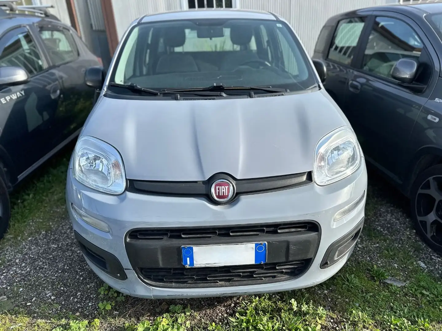 Fiat New Panda 1.0 FireFly Hybrid Grau - 2