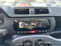 Fiat New Panda 1.0 FireFly Hybrid Grau - thumbnail 14