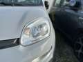 Fiat New Panda 1.0 FireFly Hybrid Grau - thumbnail 9