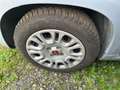 Fiat New Panda 1.0 FireFly Hybrid Grau - thumbnail 8