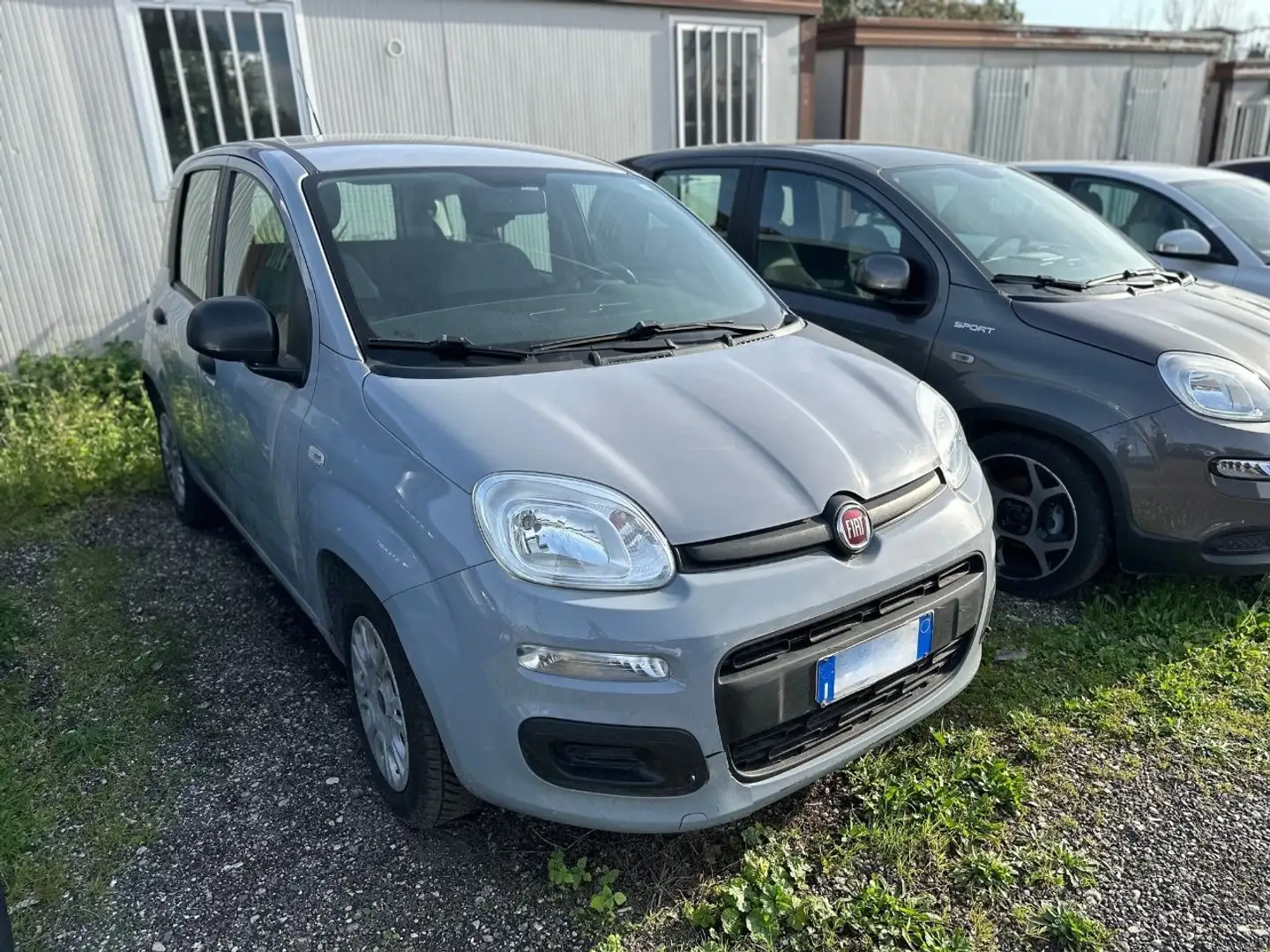 Fiat New Panda 1.0 FireFly Hybrid Grau - 1