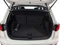 SEAT Arona Road Edition 1.0 TSI AHK/Kamera/DAB/Assist Weiß - thumbnail 16