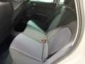 SEAT Arona Road Edition 1.0 TSI AHK/Kamera/DAB/Assist Weiß - thumbnail 9