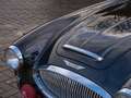 Austin-Healey 100 100/6 BN4 (BJ8 Powered) Braun - thumbnail 18