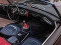 Austin-Healey 100 100/6 BN4 (BJ8 Powered) Braun - thumbnail 4