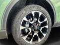 Ford Kuga 2.5 Duratec FHEV 4x4 ACTIVE X Grün - thumbnail 5