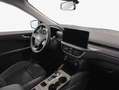 Ford Kuga 2.5 Duratec FHEV 4x4 ACTIVE X Grün - thumbnail 9