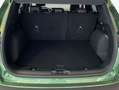 Ford Kuga 2.5 Duratec FHEV 4x4 ACTIVE X Grün - thumbnail 5