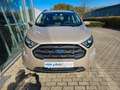 Ford EcoSport ST-Line Beige - thumbnail 3