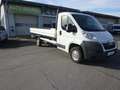 Citroen Jumper 35 L4 Pritsche Klima Tempomat AHK KD NEU Blanco - thumbnail 7