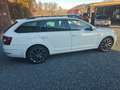 Skoda Octavia Combi L&K 4x4 Blanc - thumbnail 4
