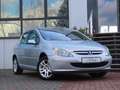 Peugeot 307 Quiksilver Grau - thumbnail 1