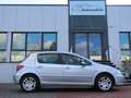 Peugeot 307 Quiksilver Grau - thumbnail 16