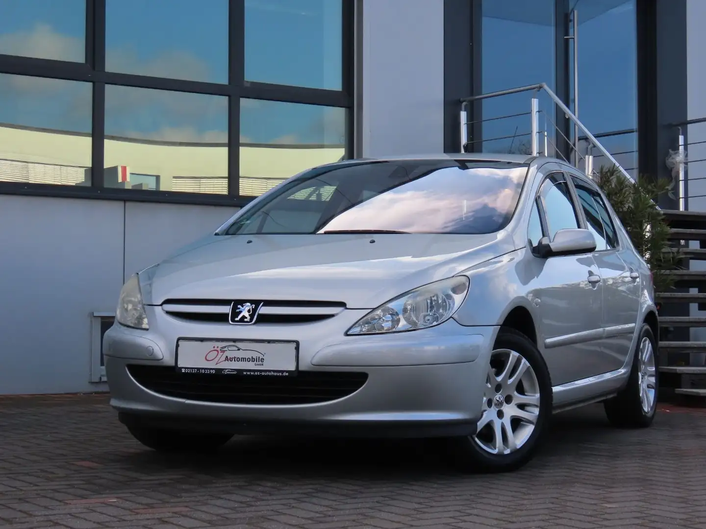 Peugeot 307 Quiksilver Grau - 2