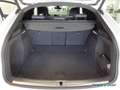 Audi Q5 Sportback S line edition 45 TFSI Matrix Pano Keyle Weiß - thumbnail 10
