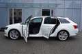 Skoda Superb Combi Ambition Weiß - thumbnail 12
