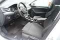 Skoda Superb Combi Ambition Weiß - thumbnail 15