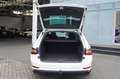 Skoda Superb Combi Ambition Weiß - thumbnail 10