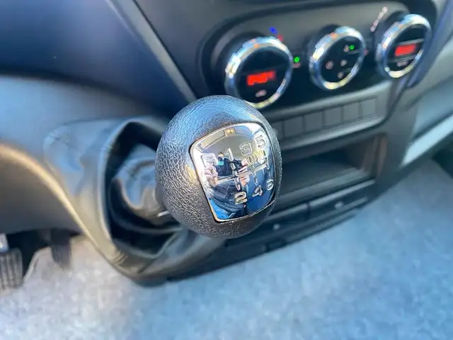 Iveco Daily view 11