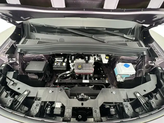 Leapmotor B10 view 21