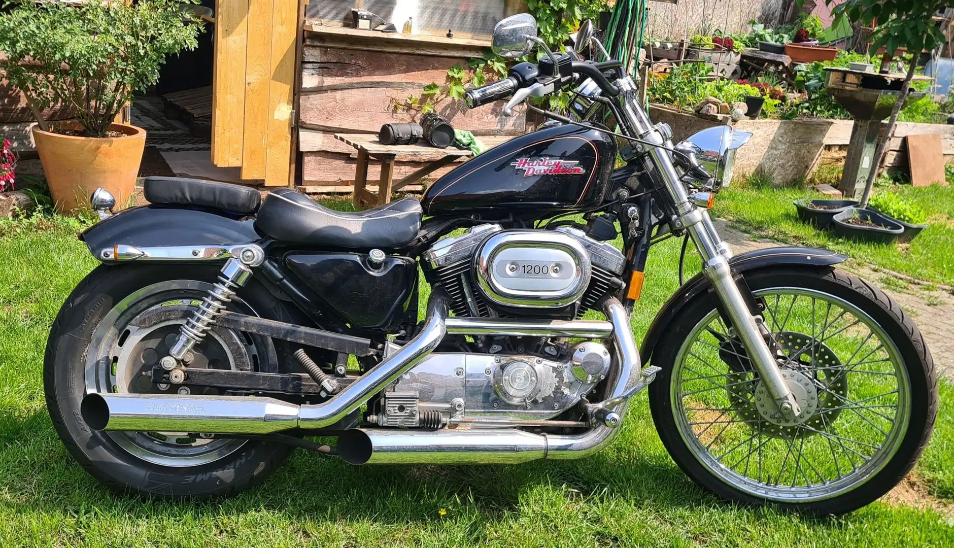 Harley-Davidson Sportster 1200 XL C Black - 1