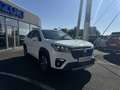 Suzuki S-Cross 1.5L HYBRID STYLE AUTO ALLGRIP Blanco - thumbnail 12