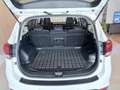 Kia Carens 1,7 CRDi ISG Gold Weiß - thumbnail 15