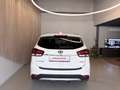 Kia Carens 1,7 CRDi ISG Gold Weiß - thumbnail 4