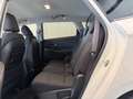 Kia Carens 1,7 CRDi ISG Gold Weiß - thumbnail 13