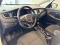 Kia Carens 1,7 CRDi ISG Gold Weiß - thumbnail 9